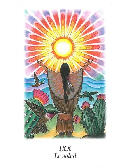 Tarot Vision Quest Anglais Gayan Sylvie Winter Jo Dos