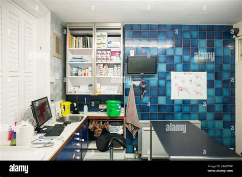 An Empty Veterinary Treatment Room Stock Photo Alamy