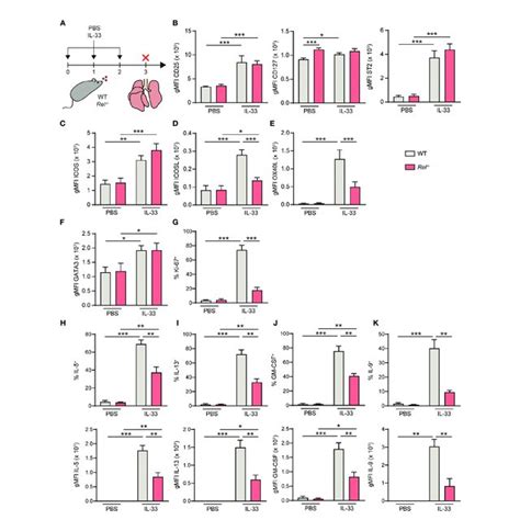 C Rel Deficient Group 2 Innate Lymphoid Cells Ilc2s Exhibit No Download Scientific Diagram