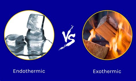 Endothermic Reaction Examples Everyday Life