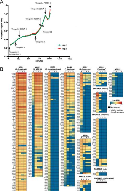 Sample Growth And Metatranscriptomic Analysis A Two Distinct