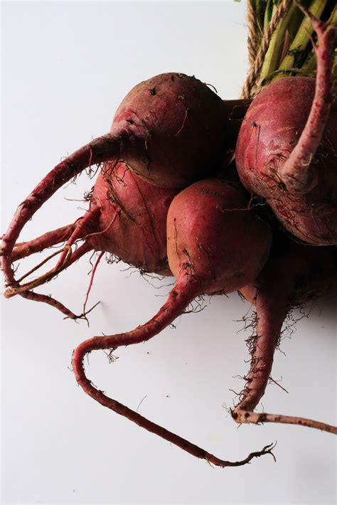 Beetroot Recipes - Great Italian Chefs