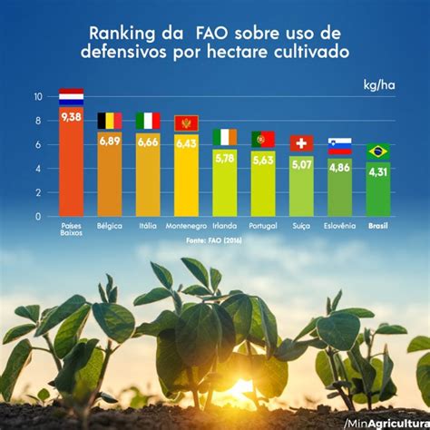 Ranking Da Fao Mostra Que Uso De Defensivos No Brasil é Menor Que Em