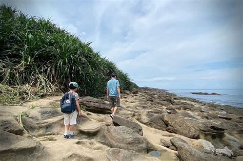 新北瑞芳 深澳岬角象鼻岩景觀步道。海蝕洞天然奇景蕈狀岩蜂巢石台灣36秘境 遇見。桃花源