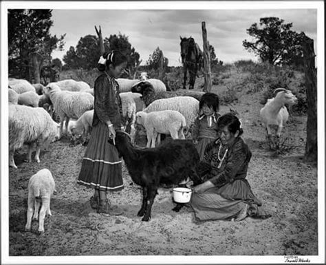 Pin By Junebug Lane On Na Tribes Rockies West Us Native American