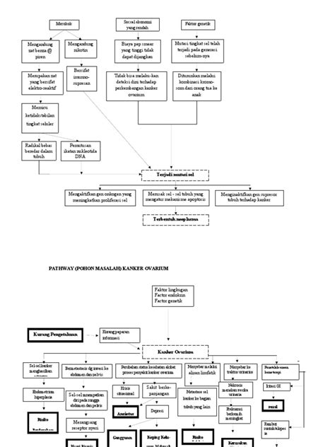 Pathway Kanker Ovarium Pdf