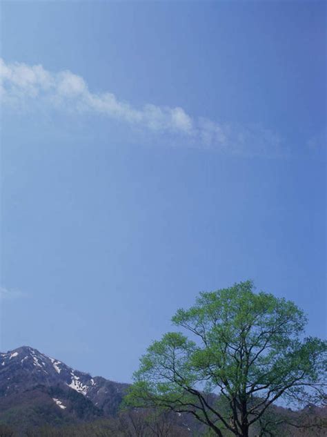 无人竖图室外白天正面旅游度假石头美景森林山树林雪雪山植物大雪长野县日本亚洲阴影光线石子影子冰