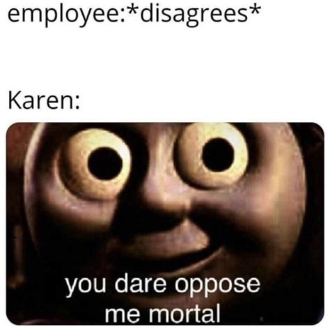 15 Karen Memes About Karens Karen-ing All Over The Place