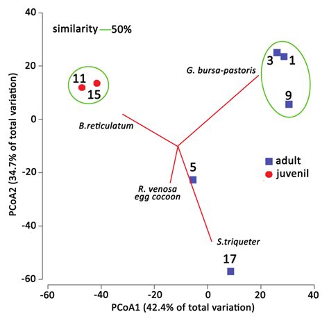 Principal Coordinate Analysis Pcoa Showing The Similarity Among Download Scientific Diagram