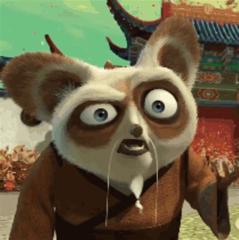 What Shifu What Shifu Master Shifu Discover Share GIFs