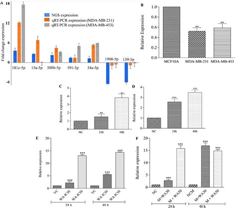 Figure From Natural Steroidal Lactone Induces G S Phase Cell Cycle