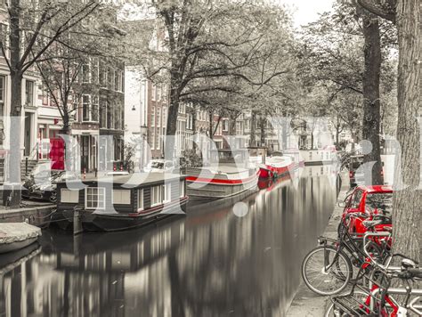 Amsterdam Canal Wallpaper - Buy High-Quality Wallpapers Online | Happywall