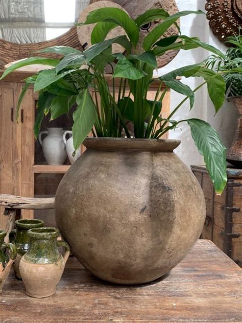 33 Idées De Vases Décoratifs