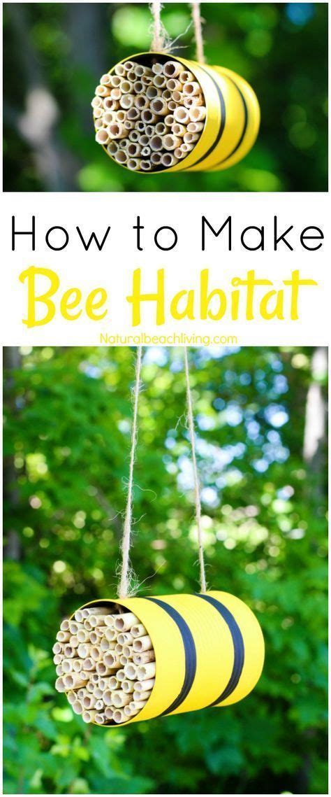 How to make a mason bee habitat perfect life cycle of a bee activities – Artofit