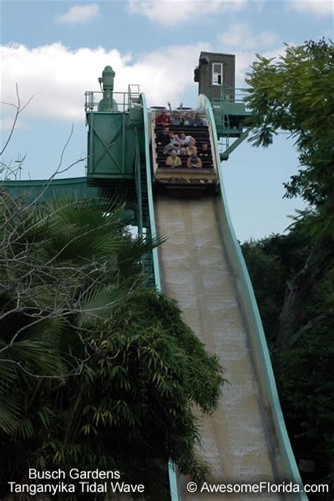 Tidal Wave~Water Ride - Busch Gardens Tampa FL Roller Coasters/Water Rides