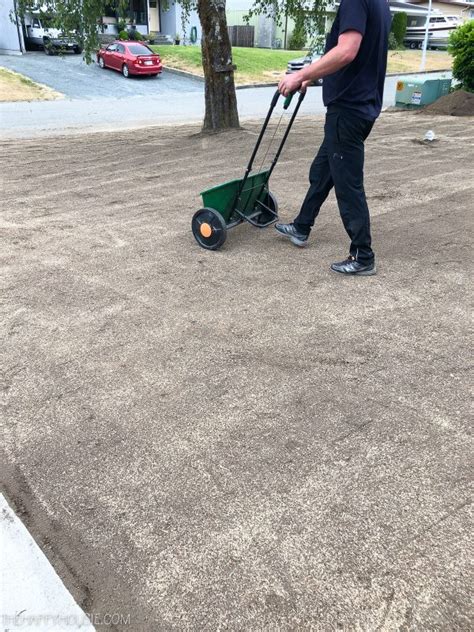 How To Seed A New Lawn From Scratch The Happy Housie