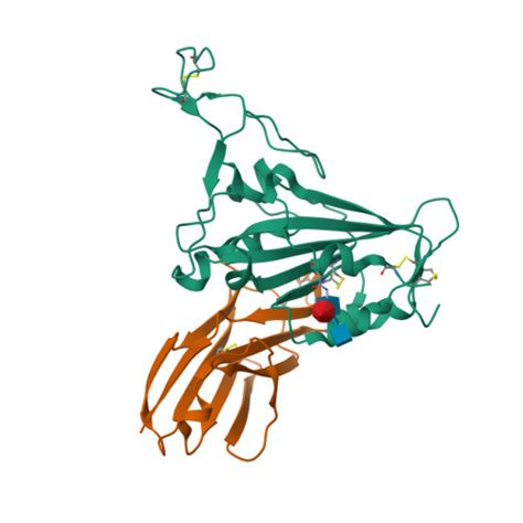 Rcsb Pdb Fbk Crystal Structure Of Sars Cov Receptor Binding