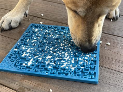 Tapis De L Chage Pour Chien Occupe Votre Chien De Mani Re Gourmande