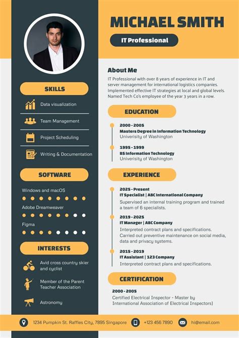 IT Professional Resume Template | Free Visual Resume Templates - Piktochart