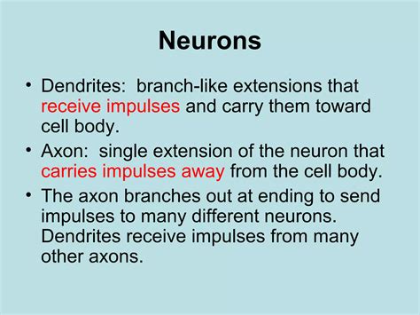 Nerves That Carry Impulses Toward The Cns Only Are 6