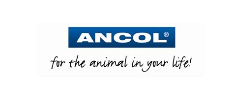 Ancol Logo Png