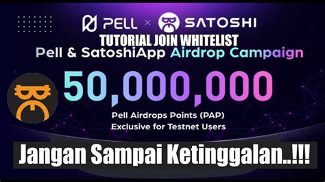 Tutorial Lengkap Dapatkan Whitelist Airdrop Pell Network Di Satoshi App