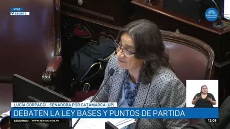 Ley Bases en el Senado en vivo el Gobierno aceptó modificaciones en