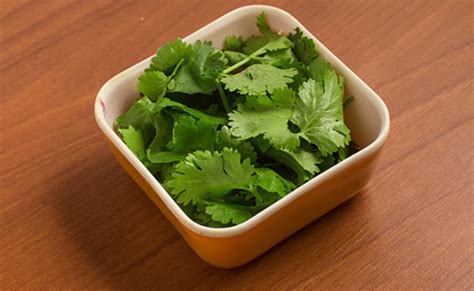 5 Surprising Health Benefits Of Coriander Leaves That You Must Know