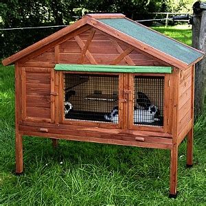 Ideas 4 Rabbits: Outdoor Rabbit Hutch in Winter