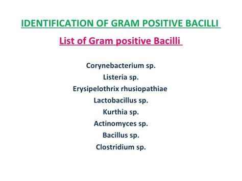 Gram Positive Bacilli Identification Chart