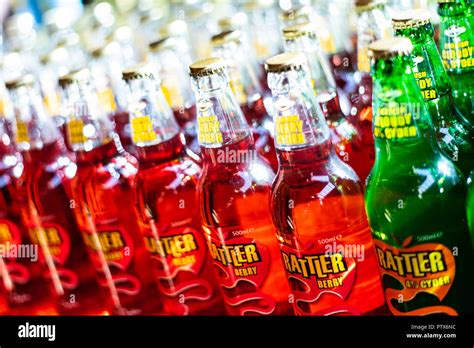 Bottles of Rattler produced by Cornish Cyder farm, Healeys Stock Photo ...