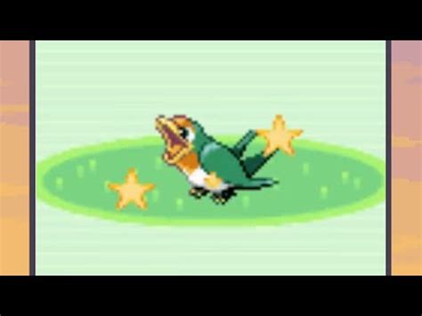 Live Shiny Taillow After 9226 Res Sapphire DTQ 3 YouTube