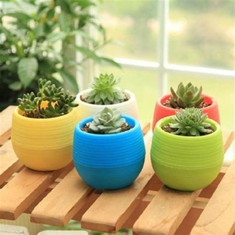 Jual Mini Pot Bunga Hias Kaktus Tanaman Isi 5pcs Warna Warni Succulent