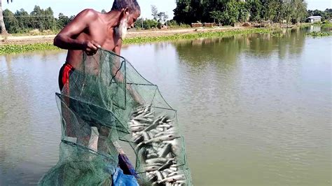 অদ্ভুত মাছ ধরার ফাঁদ। চায়না জাল। Best Of China Net । আজকে অনেক মাছ