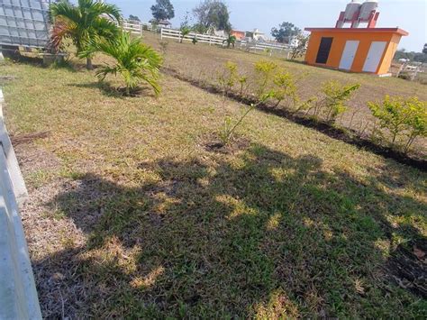 Venta Lote De Terreno En Tampico Alto Veracruz 2 43 87979494 5174011