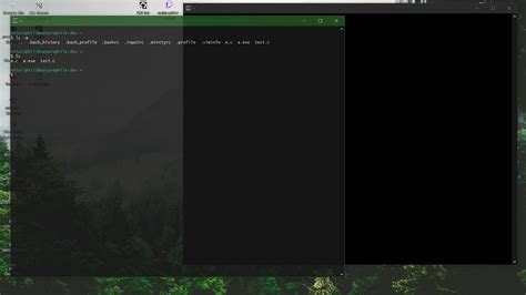 Install Linux Terminal In Windows 10 Massive Terminal For Windows