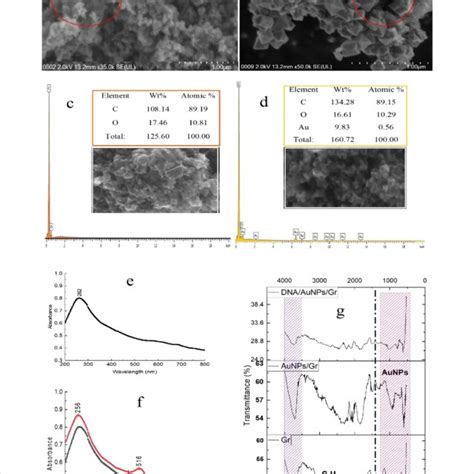 Morphological And Structural Characterisation Of Different