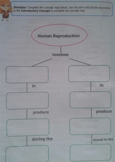 Drill Exercise Direction Complete The Concept Map Below Use The Term