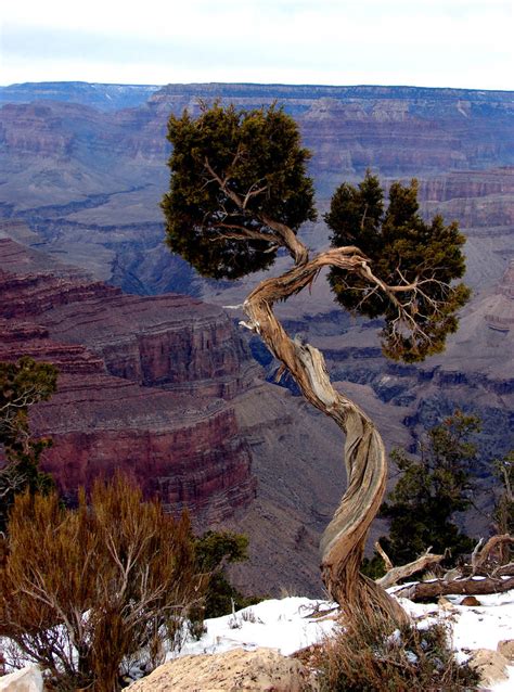 Grand Canyon Cheerleader By Synaptica On Deviantart