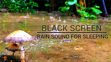 Calming Rain Sound For Sleeping BLACK SCREEN Beat Insomnia With Soft