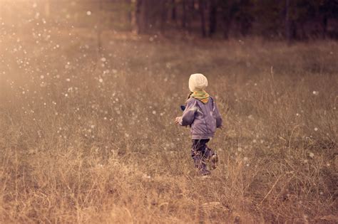 Child Walking on Grass Path · Free Stock Photo