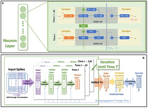 Frontiers Map Snn Mapping Spike Activities With Multiplicity