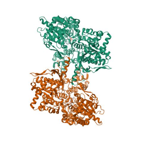 Rcsb Pdb Ems Cryo Em Structure Of Human Liver Glycogen Phosphorylase