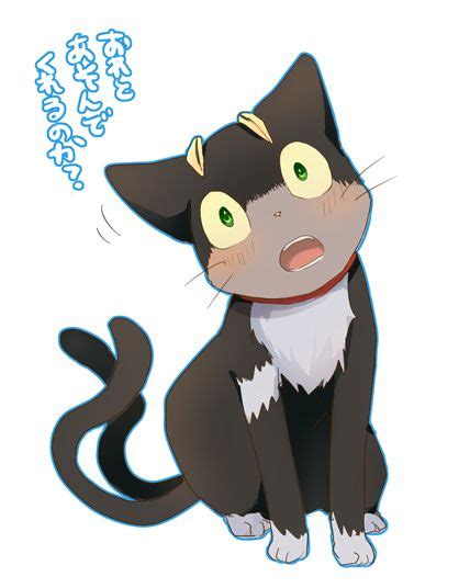 Kuro Ao No Exorcist1020784 Gato De Sailor Moon Kuro Ao No