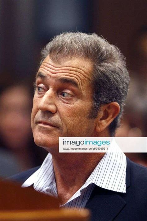 Actor Mel Gibson Appears In A Los Angeles Courtroom For Sentencing On