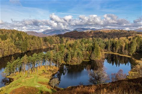 Tarn Hows Walk Walks From Coniston Lake District Walks