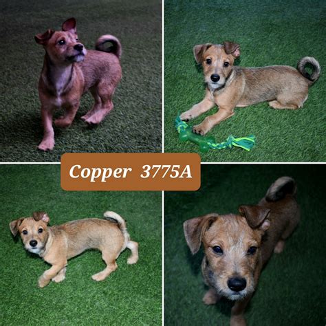 mcso minute entries 2