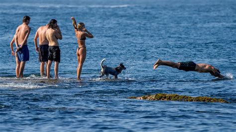 Record Breaking Temperatures In Sydney With More Severe Heatwave Conditions Forecast