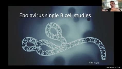 Effector Function Seminar Series: Effector cells present in different ...