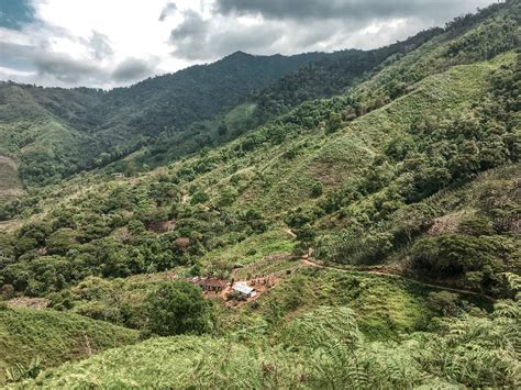 Tayrona National Park - Passporter Blog